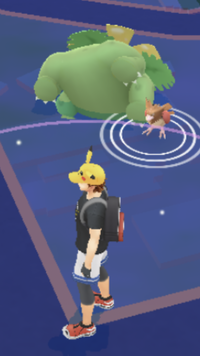 ポケモンGOで相棒のフシギバナが地面に埋もれてひっくり返ってしまってるんですがこれバグですか？ 