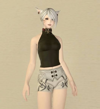 FF14 この白いパンツは､なんという装備ですか？ 