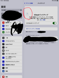 昨日iPadを最新のios18.2にアップデートしました。
今日気付いたのですが、バックアップ画面に「？」があるんです。
以前はなかった様に思うのですが、、 直前にパスワードを変更したので気になってしまいました。
同じ様になっている方いますか？

再起動も試しましたが、変わらずでした。

写真の赤丸部分です。