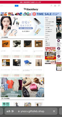 専用 条件付きですので他の方は購入しないでください。 ZPGBSET 除塵フィルターBセット 通販 - ハーモネート