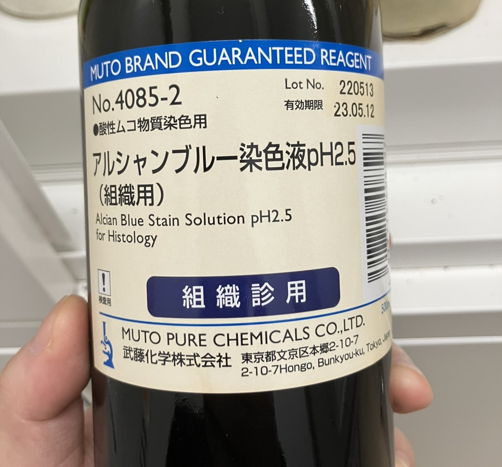 透明骨格標本の作製に関する質問です。軟骨染色の行程で、染色に用いる