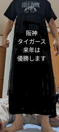 来年は阪神優勝なのでしょうか? 