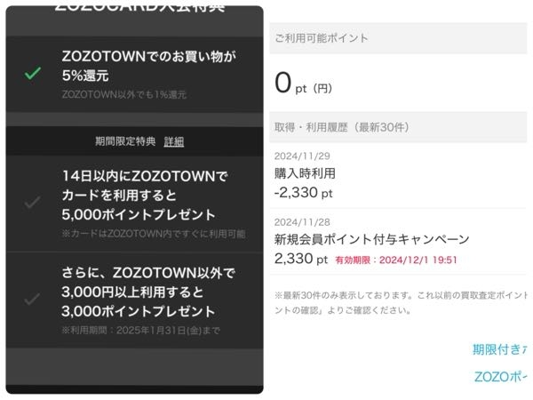 ZOZOクレジットカード新規8000ポイント付与で 審査中でも購入可能との事で購入しましたが、 そもそも、5000ポイントが付与されていません。 このキャンペーンが11月末で、詳細を見ることができず、 画像だけになります。 ①いずれポイント付与されるのでしょうか？ ②この半端なポイント利用は何でしょうか。。 初回キャンペーンか何かあったのでしょうか。