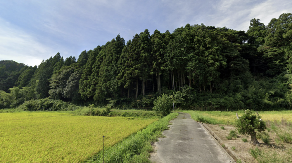 どこの風景でしょうか？