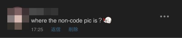 Pixivでのイラストに対する返信なんですけど、英語でこのようなメッセージが来ました。 non-code picというのはどういう意味なのでしょうか？ 18禁イラストでモザイク掛けてるんですけど、モザイクを外したやつって意味なんですかね……？
