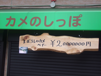 2,000万円のカメ。 私の自宅近くにカメ専門店があって、目玉は、ペアで2,000万円のカメです。 これは、ホウシャガメというアフリカの希少カメで、ワシントン条約で輸入・販売が禁止されているものです。 ワシントン条約で販売が禁止されている絶滅危惧種の希少カメを売っていていいのでしょうか? なぜ、堂々と販売出来るのでしょうか? テレビでも紹介されたみたいです。