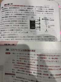 高校生物の問題です。

解答に「電位依存症ナトリウムチャネル」と書かれているのですが、教科書・図説をみてもそのような言葉がありませんでした。
電位依存性ナトリウムチャネルの間違いでしょうか？ 知識が足りず、セミナー問題集が正しければすみません…

正誤を教えてください。