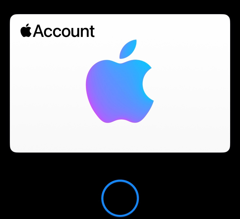 これってApple PAYとは違うものですか？