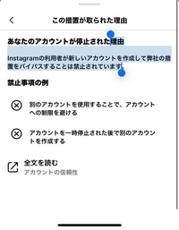 急にインスタが凍結されて翌日には永久に停止とでました。停止した理由のこれはどういう意味ですか？ 
