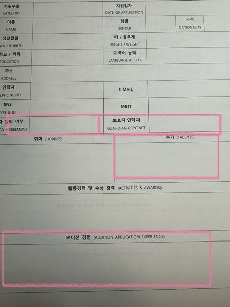 いま韓国のオーディションの履歴書を書いているのですがこの画像の枠で囲ってあるところはどのようなことを書けばいいのですか？