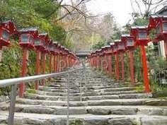 【至急!!】こちらの写真の神社はどこですか？？京都だということは分かっています！今から行きたいのですが名前が分かりません。宜しくお願いいたします！