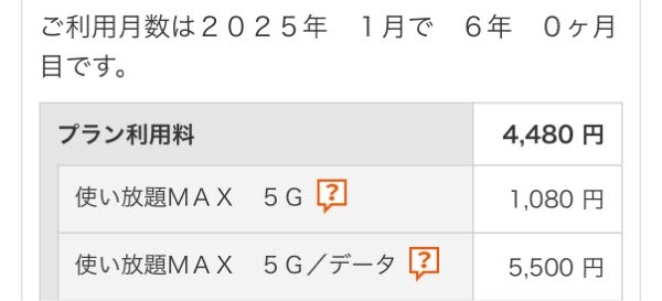 至急回答お願いします。 携帯の使用料をみていたのですが 使い放題MAXという項目が2つあるんですが これは1つ解除しても大丈夫でしょうか？