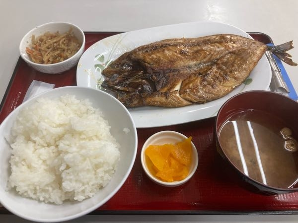 一番、うまいと思う魚はなんですか？ ぶっちゃけ、サバに勝てる魚いる？