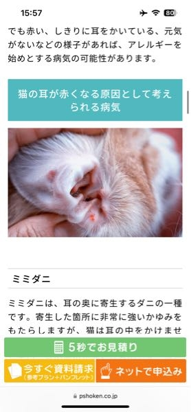 猫のことで質問です。 こちらの下記の添付画像はお借りしている物ですが 今一緒に暮らしている猫ちゃん6ヶ月に このような耳の中に小さな赤い点があります。 病院に行くつもりですが心配なので 猫に詳しい方、なんの症状かお分かりになられる方おられましたら教えていただきたいです。