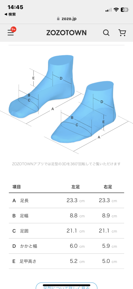 足のサイズについて。 この足は甲高、幅広ですか？ ルブタンは所持してますが、ジミーチュウ、セルジオロッシ、マノロブラニクは履けますでしょうか。