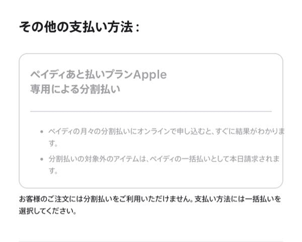 専用　　支払い待ち 至急です。 - Appleの公式からiPhoneを注文しました。ペイディ
