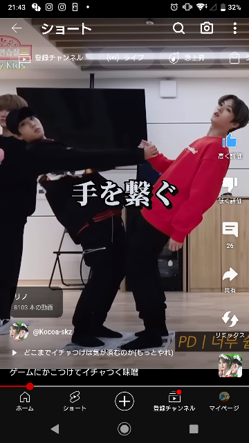 こちらの画像の元動画は何の動画でしょうか？ リノ ハン スキズ Straykids スキズトーカー