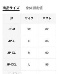 至急

sheinのサイズ表についてです。
このJP-M(xs)とかってどういう意味なのでしょうか？
XSだけど日本のサイズでいうとMってことですかね？ 