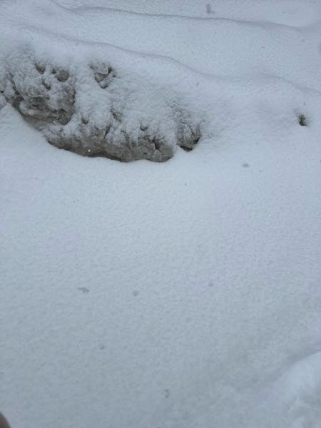 質問です。 私が住んでいる地域は雪が多く、歩道が歩けないくらいに雪が積もります。 そして今日の朝、歩道が埋まって居たので、車道を歩きました。 路側帯も雪で埋まって居たので歩道寄りの端っこを、なるべく車道に迷惑をかけないように歩いていました。 そうしたら、前から来たタクシーにクラクションを鳴らされてびっくりしました。 私って悪いですか？ 回答よろしくお願いいたします。 写真は歩道の写真です。