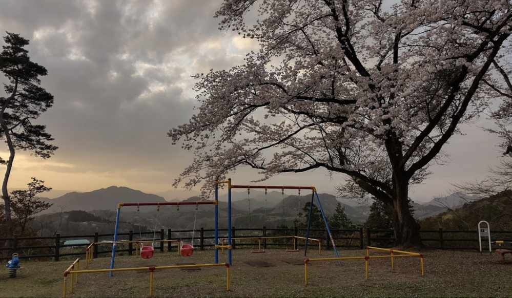 何処の公園でしょうか？