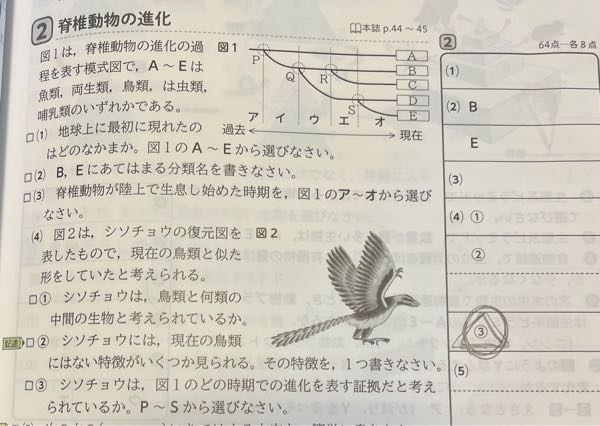 中学理科です。 （4）の③の考え方を教えていただきたいです。