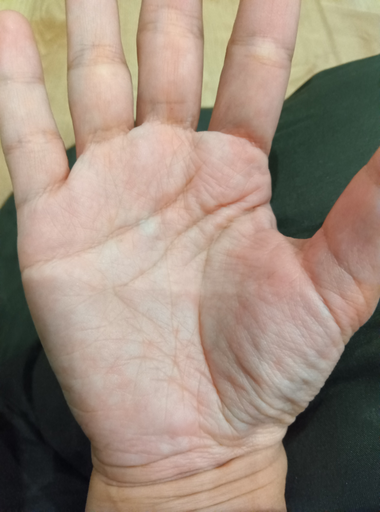 手相占いできるかたお願いします！ 性格 家族運 健康運 仕事運など