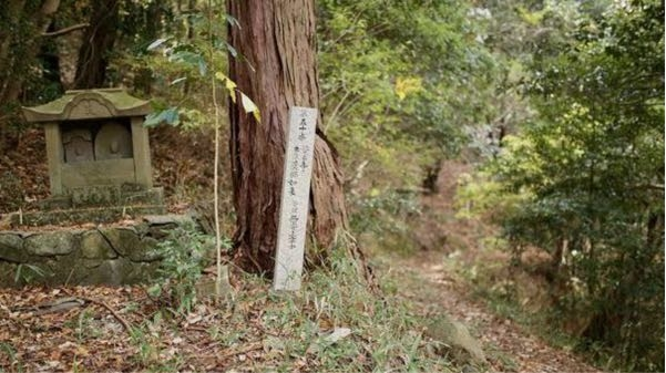 獣道に迷い込んだことはありますか？ そういうときはまず何をすればいいですか？