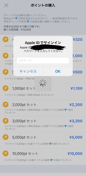 ツイキャスについて これパスワード入力したらお支払い完了になるんですか？