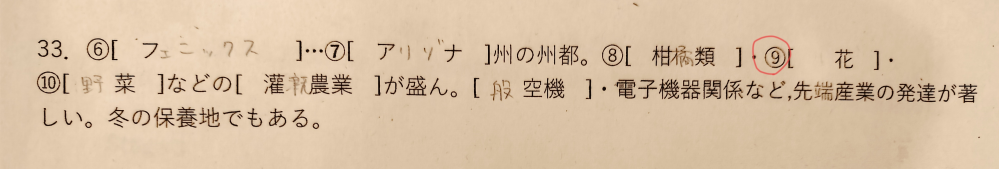 地理なんですけどここの⑨もわからないので教えていただきたいです！