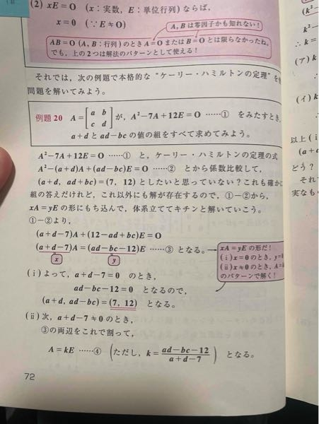 線形代数について質問です この写真の問題で係数比較だけだと全ての解が求められない理由はなぜでしょうか？ 逆にxA＝yEの形であればなぜすべての解の値が求められるのでしょうか？