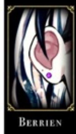 悪魔執事と黒い猫のベリアンくんとお揃いのピアスをつけたいのですが