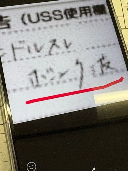 オートオークションの出品表表記について質問失礼します。USSオークシ