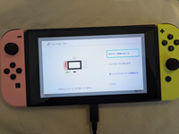 Switch ※画面右側接続不良あり Nintendo Switch - Nintendo Switch