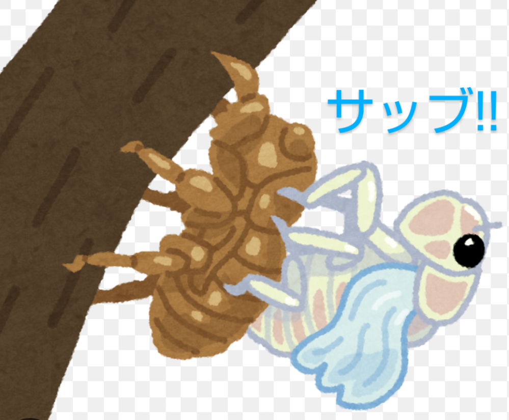 大喜利ですよ。。 全部脱いでもセミヌード みたいな事を言って下さい！？