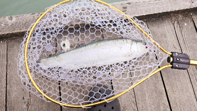 海上釣堀のロッドでシマノのシーマークを検討しているのですが
