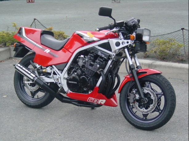 CBR250Rアイラインカウル塗装以前、ヤフーオークションにてC CBR250Rアイラインカウル塗装以前、ヤフーオークションにてC