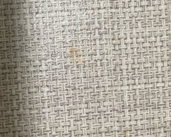 床にミートソースを落としてしまってから、汚れが取れません。汚れを落とす方法を教えていただきたいです。