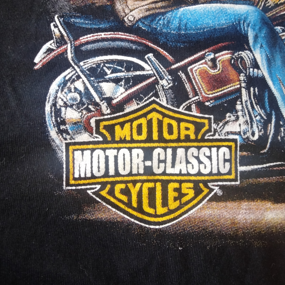 こちらはハーレーのパロディプリントでしょうか？ 古着屋で購入したTシャツで、タグが取れておりブランドが確認できません。 詳しい方は教えてくださると助かります。