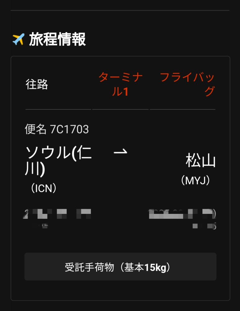 チェジュ航空ですが、これって 受託手荷物が一人15ｋｇ預けることが出来ますよ。という意味ですか?