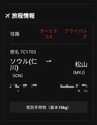 チェジュ航空ですが、これって 受託手荷物が一人15ｋｇ預けることが出来ますよ。という意味ですか? 