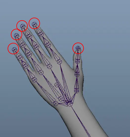 3DCGのボーン構造について質問です。 画像の赤丸の様な指の先端のジョイントってつける意味はありますか？ その前の関節にウェイトを割り振って先端のジョイントを消してしまっても問題ないように思うのですが、ついたままになってるモデルもあるので何か意味があるのかと気になりました。