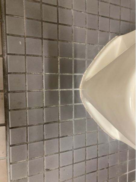 清掃をしていて、ハイターを小便器に使用した翌日に小便器下のタイルの目地を見たら白くなってしまいました。 これを元に戻すにはどのようにしたら良いでしょうか？ メラミンスポンジや束子で水をたっぷりと含ませて擦り洗いはしましたが変化がありませんでした。 お分かりになられる方がいましたらご回答をよろしくお願いいたします。