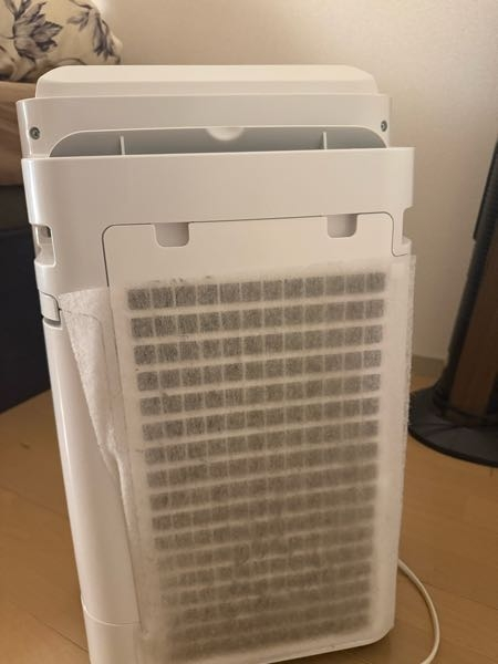 空気清浄機を使っているのですが、これ取った方がいいですかね？