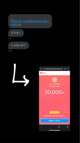 至急です これ詐欺ですか？ログインで電話番号まで入力しちゃいました。 それでパスワードは忘れたので電話番号に送信？みたいなの押してもこなかったので、諦めました 大丈夫ですか？個人情報盗まれないですか？‬т т