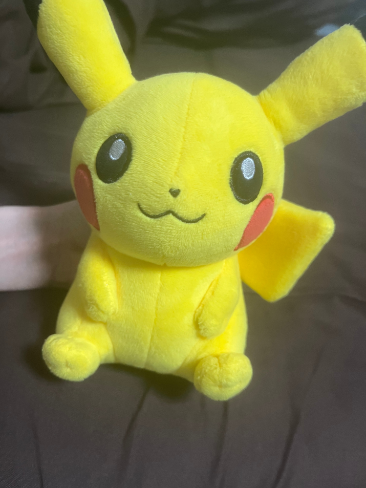 このピカチュウのぬいぐるみを洗いたいんですが、確かストロー素材(？)を使ってた様な気がするんですけど、分かる方いますか？ 普通のぬいぐるみなら手洗いか、洗濯機で洗おうと思うのですが、AIに聞いてみた所ストロー素材のぬいぐるみはカビが生えると言ってたので怖いです。特に、私はカビ・ホコリ アレルギーなので気になります。