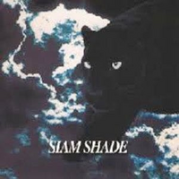 ○V系SIAM SHADE シングル RAIN レイン シャムシェイド レイン