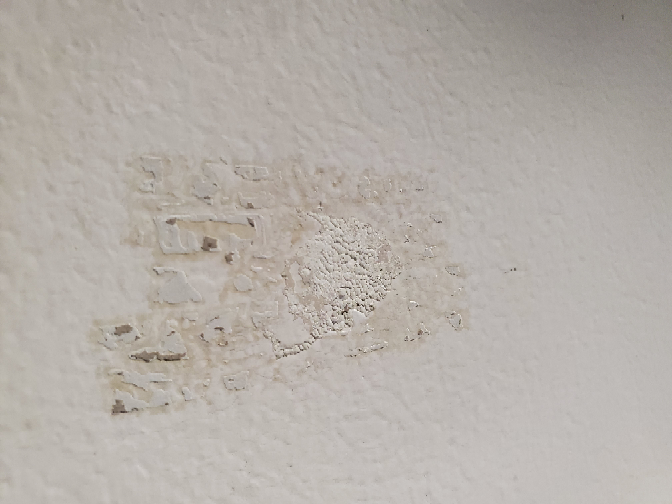 賃貸の天井の傷跡に貼ったセロテープ(一部剥がれた跡)の痕跡を残さず綺麗にする方法を教えてください。