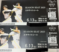 プロ野球  チケット　CS  10月20日　巨人　応援席　2枚　連番 プロ野球 チケット CS 10月20日 巨人 応援席 2枚 連番