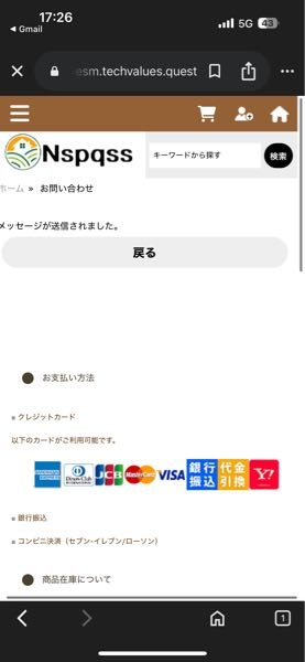 編集できないため発送日2〜3となっていますが前ページと同様4〜7日で願いします。 これナメてませんか？2〜3日で発送と書かれていたので購入しま