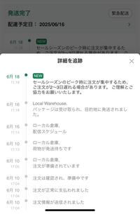 日本限定 SHEINのお急ぎ便で頼んだものが、まだ届きません。緊急配送も ヘアアクセサリー